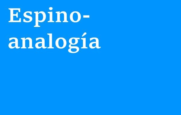 Curso presencial de Espinoanalogía